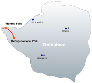 Zimbabwe - Vic Falls.- Hwange