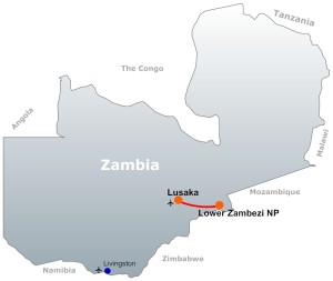 Lower Zambezi National Park