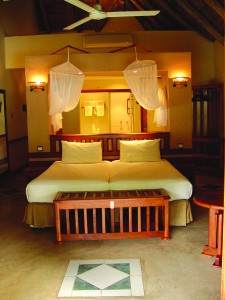 Chobe Safari Lodge River Room