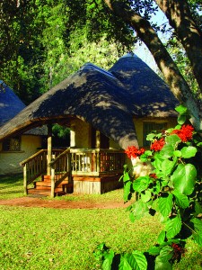 Chobe Safari Lodge Rondavels
